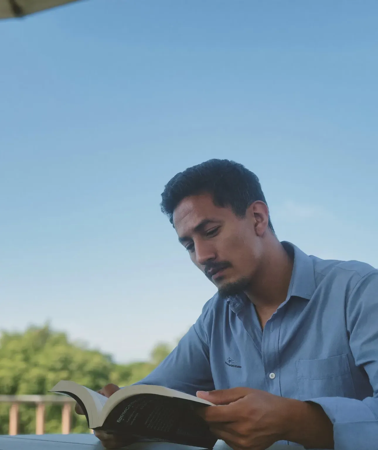 A man reading a book outdoors