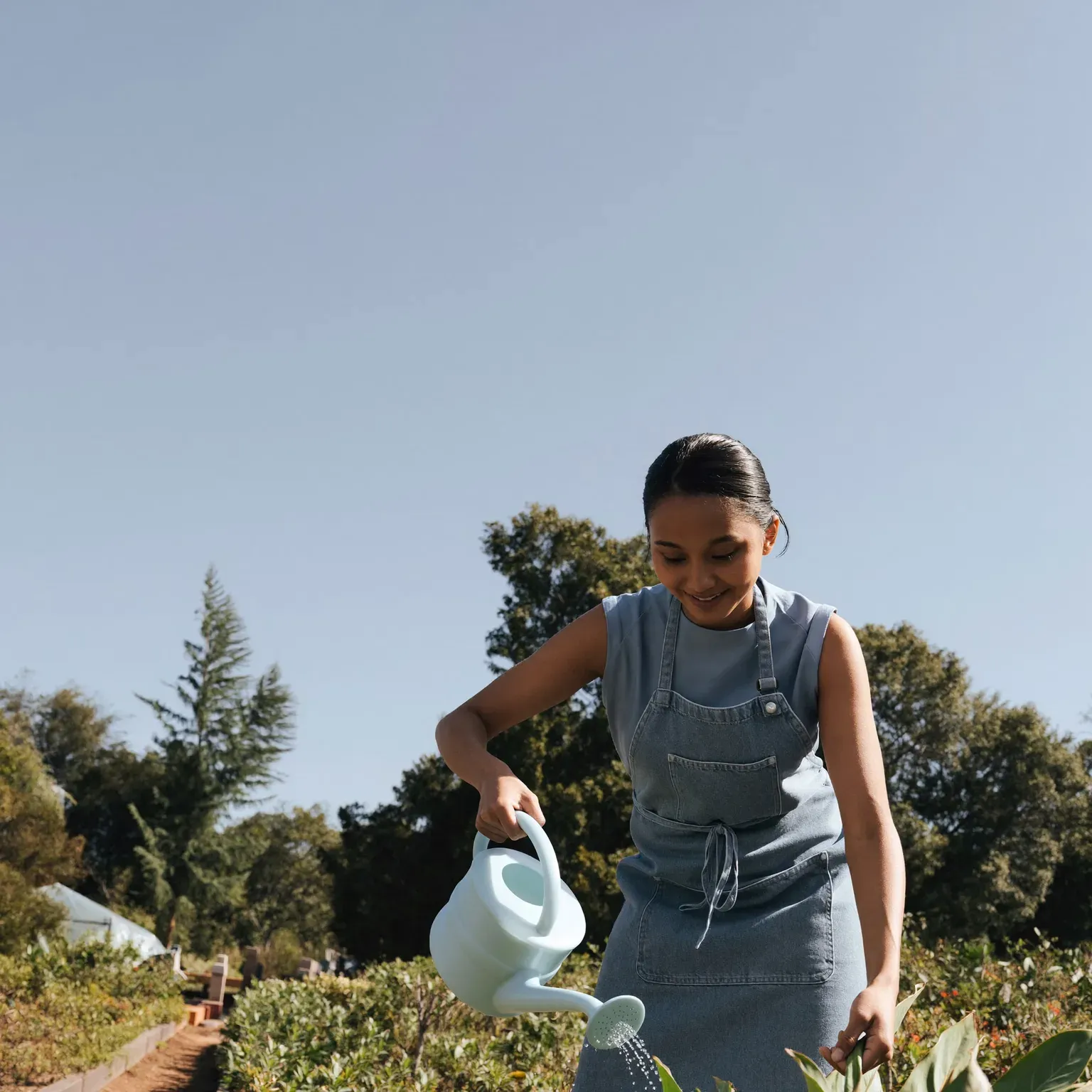A woman watering a vegetable garden