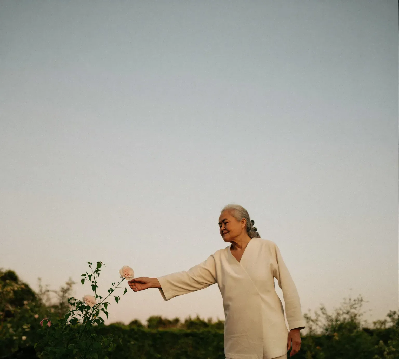 An older woman reaching for a rose in a garden at dusk