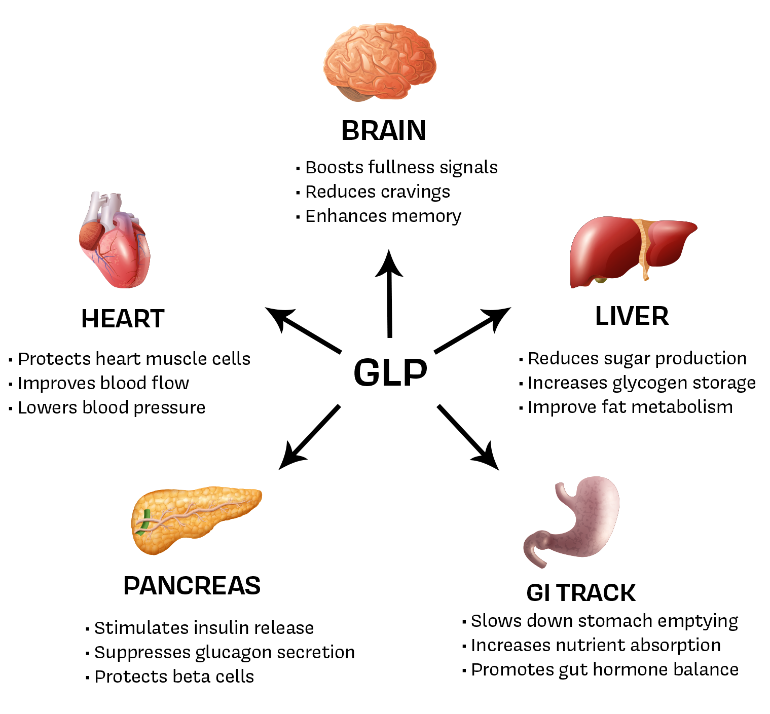 What are GLP-1 Weight Loss Peptides?